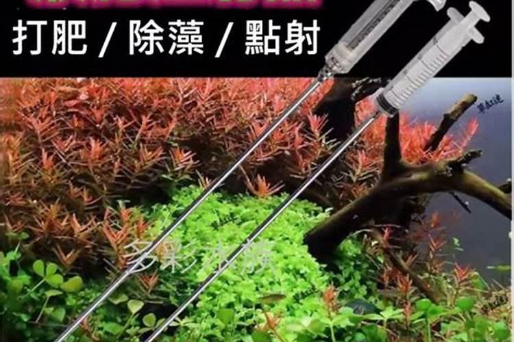 热带鱼中的水草怎样施肥？