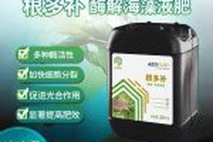 种植黄瓜使用喜满地水溶肥可以吗？