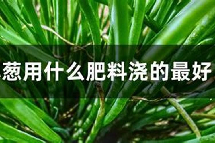 缓释肥和控释肥的区别是什么