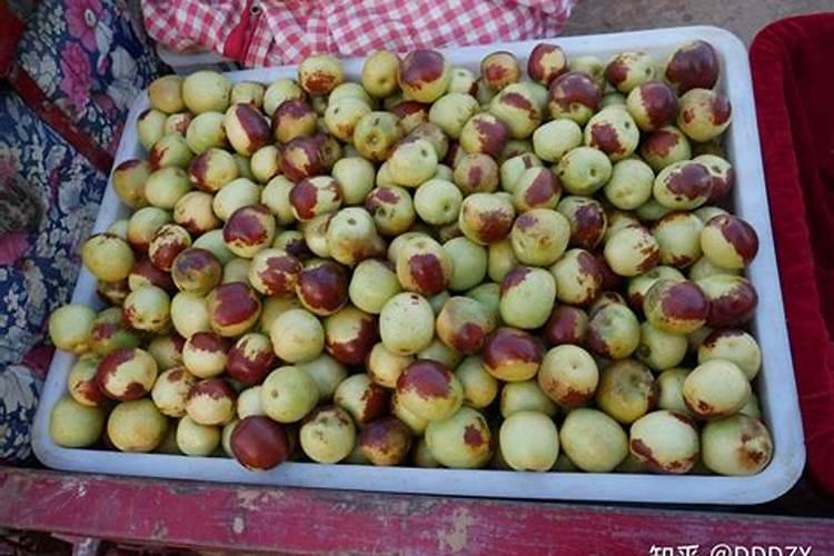 懒汉肥料怎么使用？