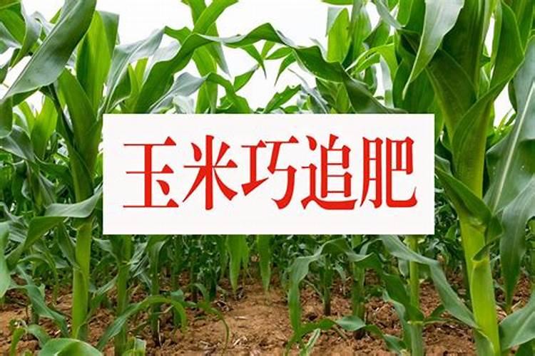 如何检测有机肥中含氮量的多少？