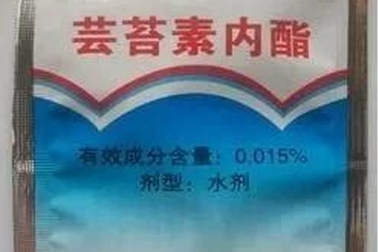 保花保果最好三种药