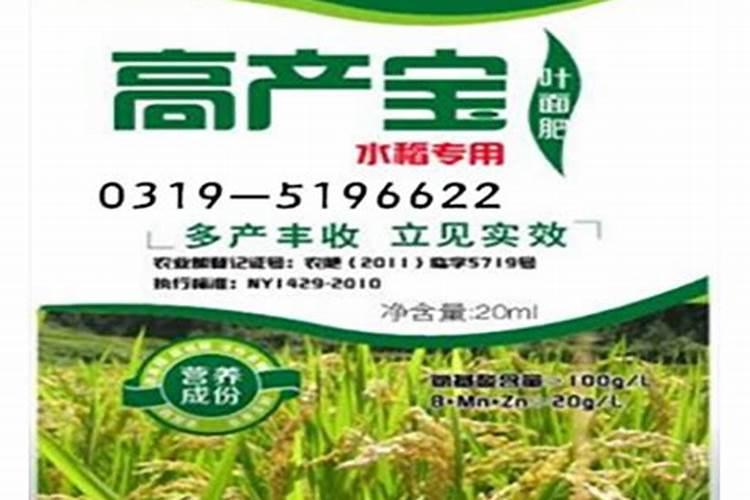 水稻什么时候撒叶面肥