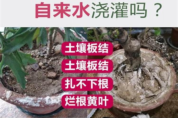 如何正确使用矿源黄腐酸钾？