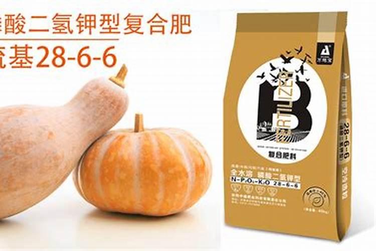 南瓜多久施一次肥