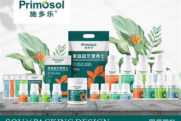 红芭拉多上色难,老师们给指一下