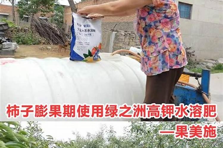 种植辣椒施钾肥效果好还是尿素效果好？为什么？