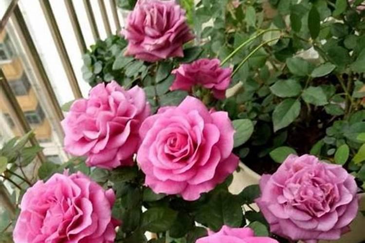 水溶肥有保质期吗