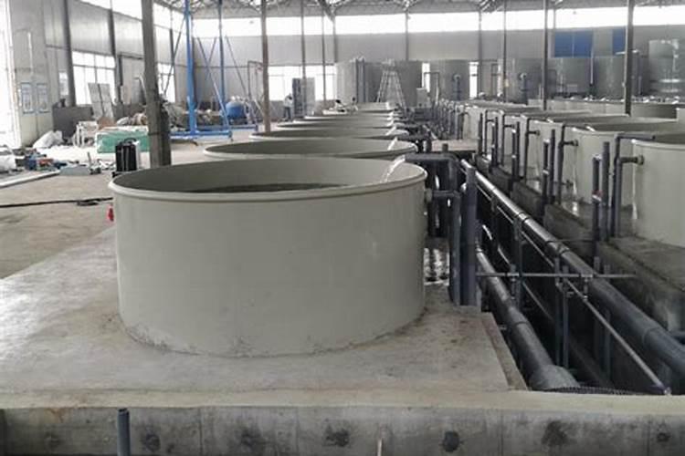 花椒树什么时候可以喷施叶面肥呢？