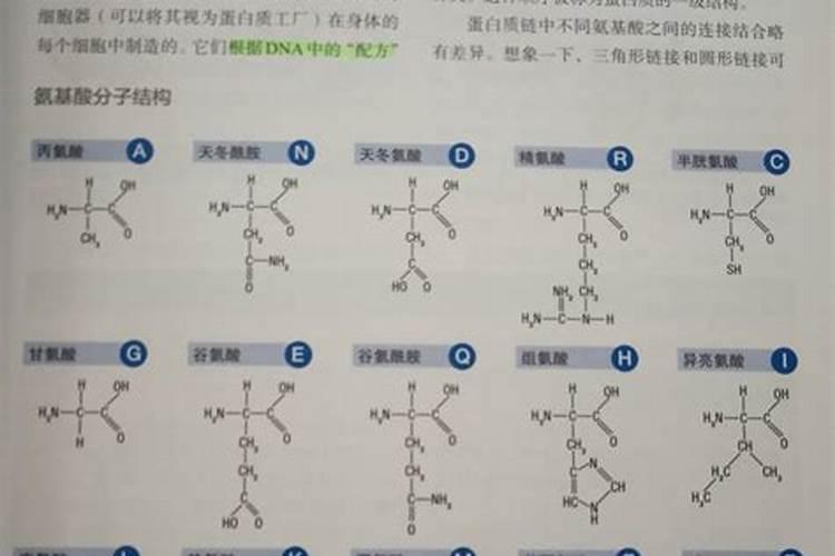 红萝卜施肥用什么肥料