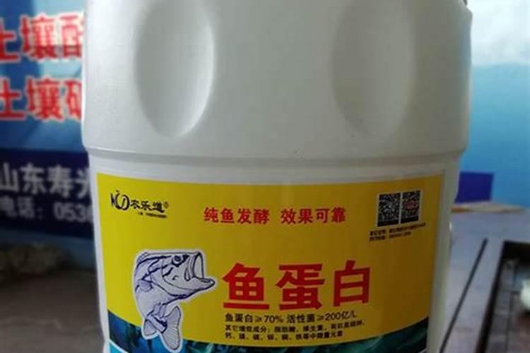 君子兰用深海鱼蛋白浇花可以吗