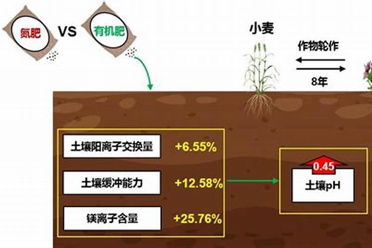 东北小麦什么时候种