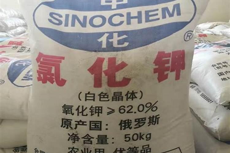 玉米喜欢氯化钾还是硫酸钾