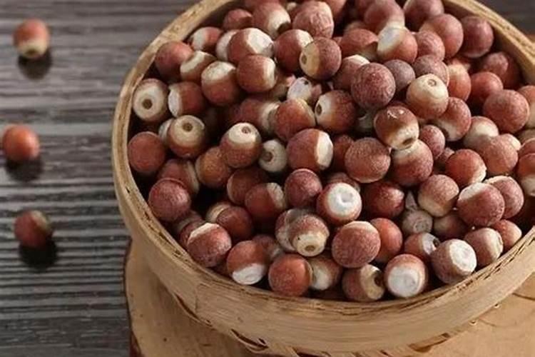 茶花如何施肥？