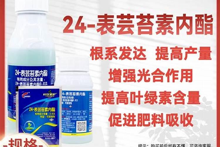 国内最好的芸苔素内酯