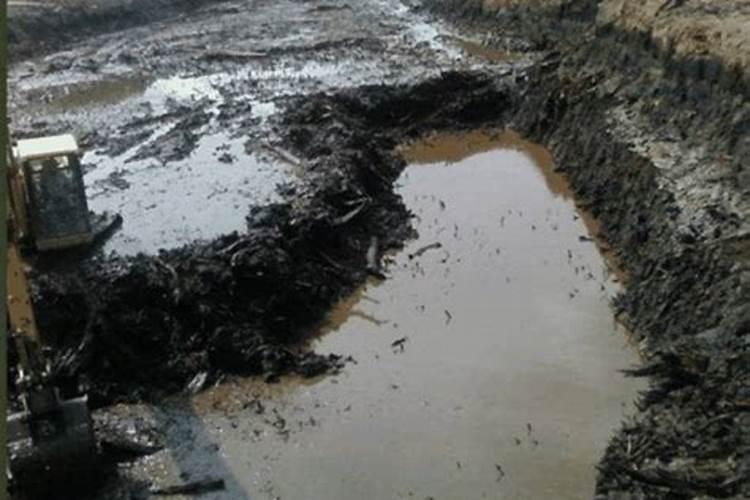 国内比较好水溶肥厂家有哪些