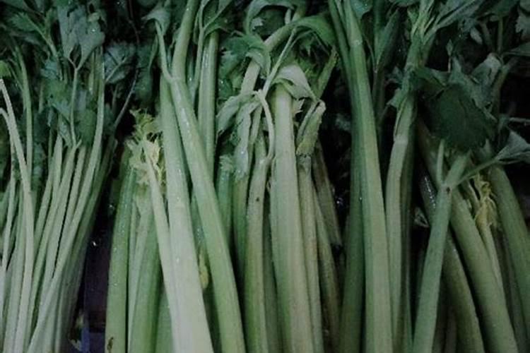 芹菜汁的功效与作用
