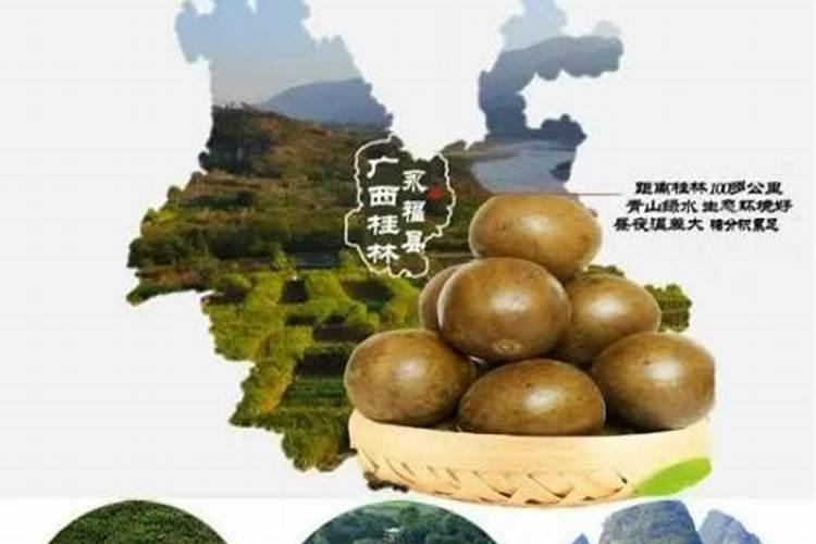 新鲜竹笋需要焯水处理吗