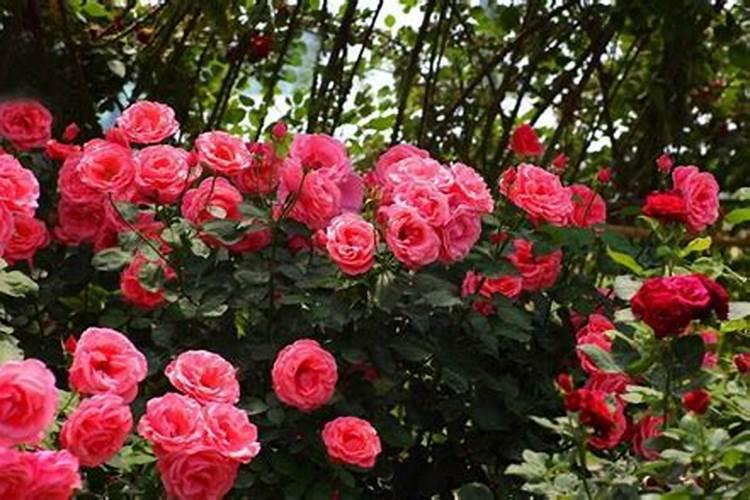 云南磷化工企业排名