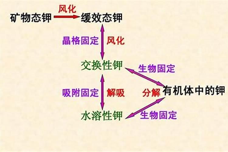 ...就是碱性钾肥,腐烂就变成了酸性肥料,这是为什么？