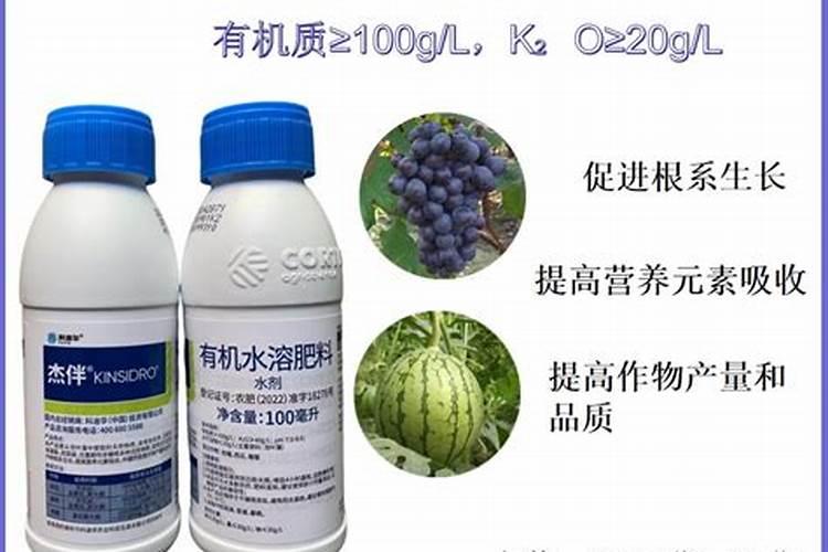 玉米什么时候打富硒最好？