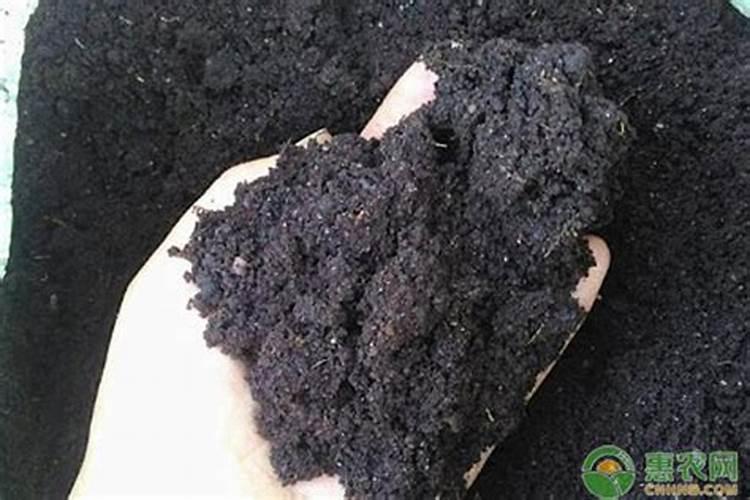 果树增甜叶面肥有哪些品牌,沃柑保花保果防裂,什么时间施肥好？