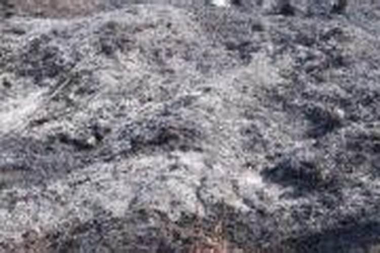 氯化钾肥料有啥作用...