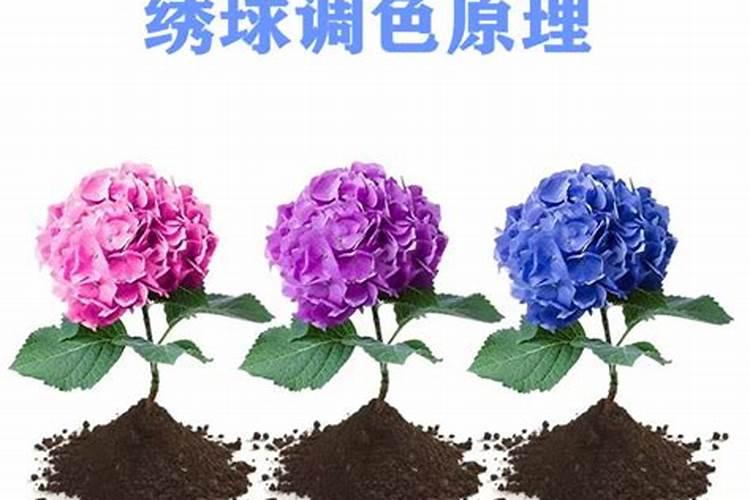 氮肥和尿素的区别