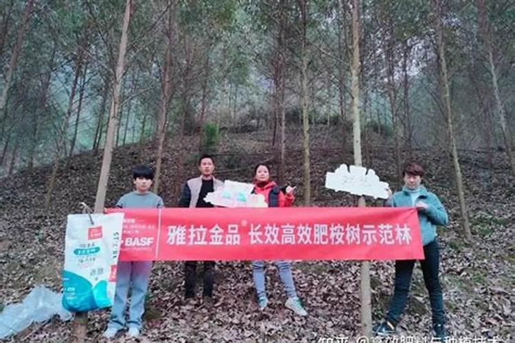 尿素和碳铵有什么区别？