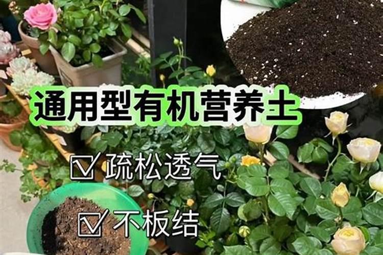 磷酸二氢钾加鱼蛋白加流体硼一起叶面喷施行吗？