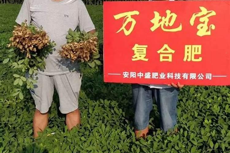 西瓜移植后打芸苔素行不行？