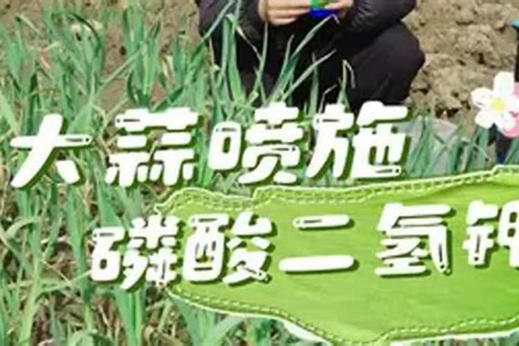 什么样的化肥含钾高