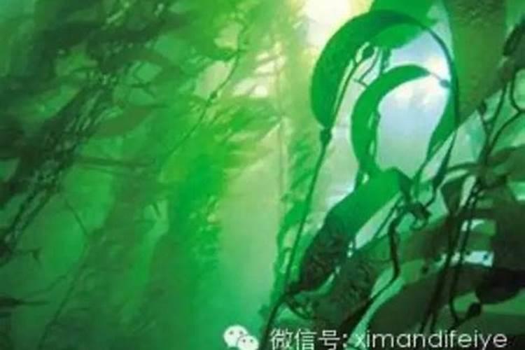 动物内脏沤肥多久可以沤熟