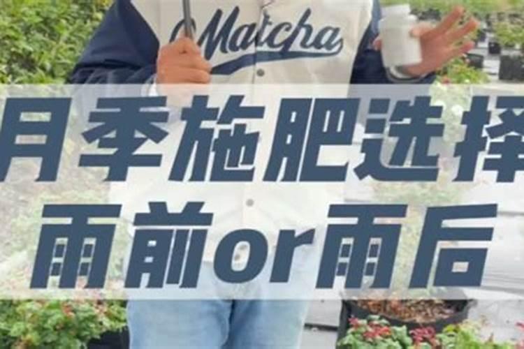 花卉施肥有时间禁忌吗(图)