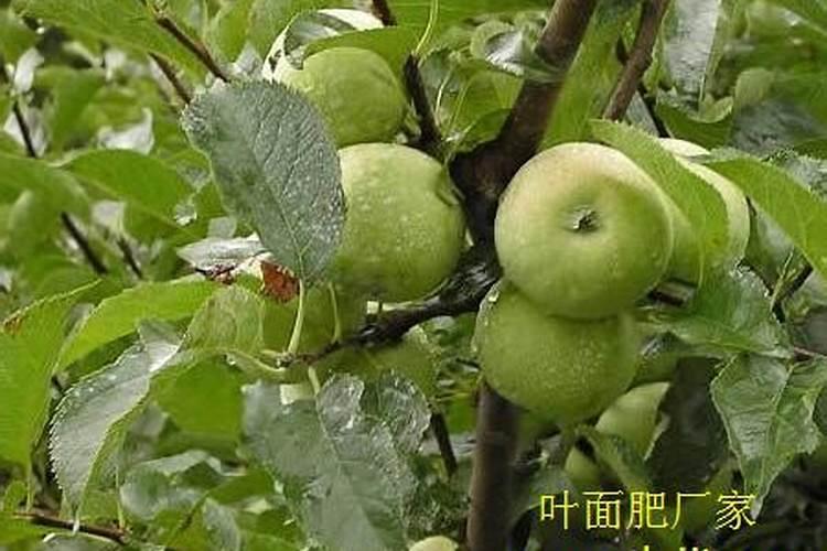 配制蔬菜无土栽培营养液可供选择的钙肥有哪些？有什么特性？