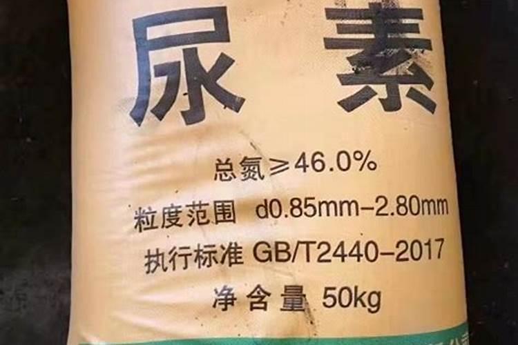 大蒜入冬前如何管理？大蒜用什么牌子肥效果好？