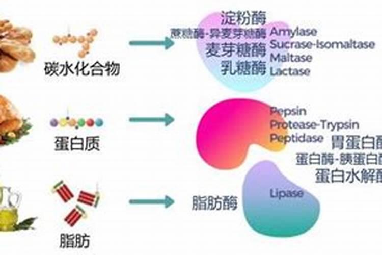 氮磷钾复合肥使用方法,适合什么花