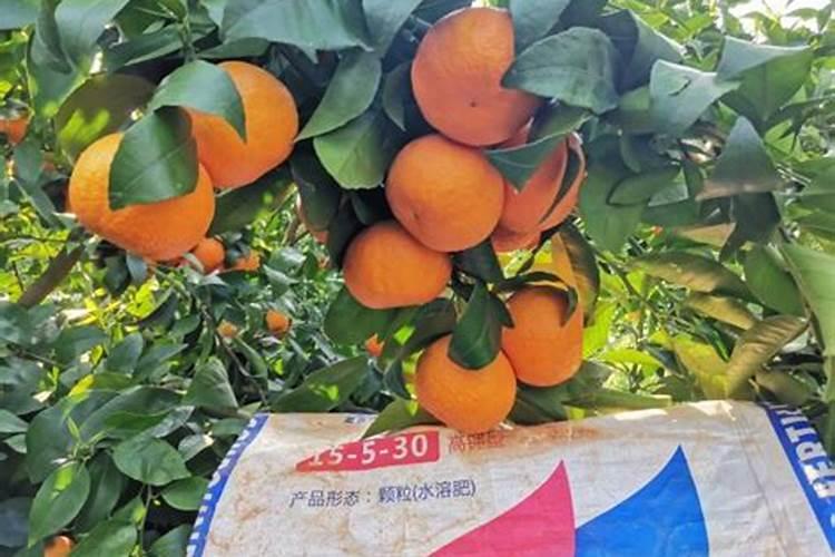樱桃树几月份上水溶肥(樱桃树什么时候用水溶肥最好)