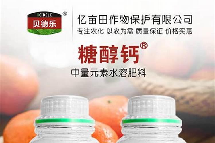 茶叶冬天如何施肥 茶叶冬天怎么施肥