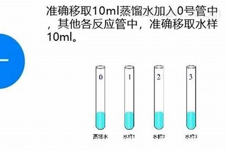 能够生物固氮的植物有哪些