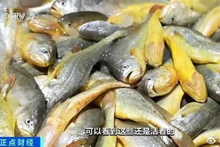 赤霉素和芸苔素哪个好