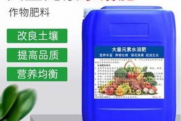 吃叶绿素有什么好处