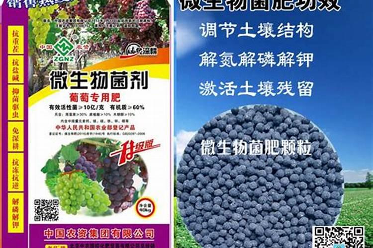 磷肥有酸性与碱性之分吗？【科学施肥】