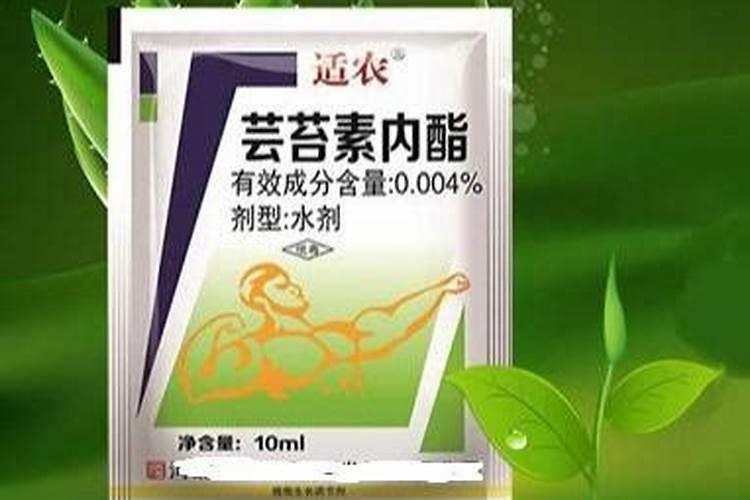 氮肥可以兑水浇花吗