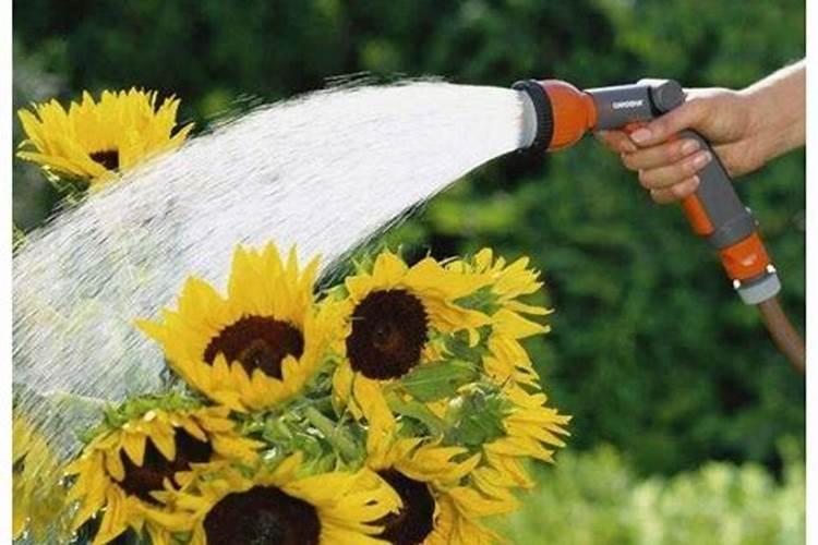 氮肥、磷肥、钾肥的作用是什么