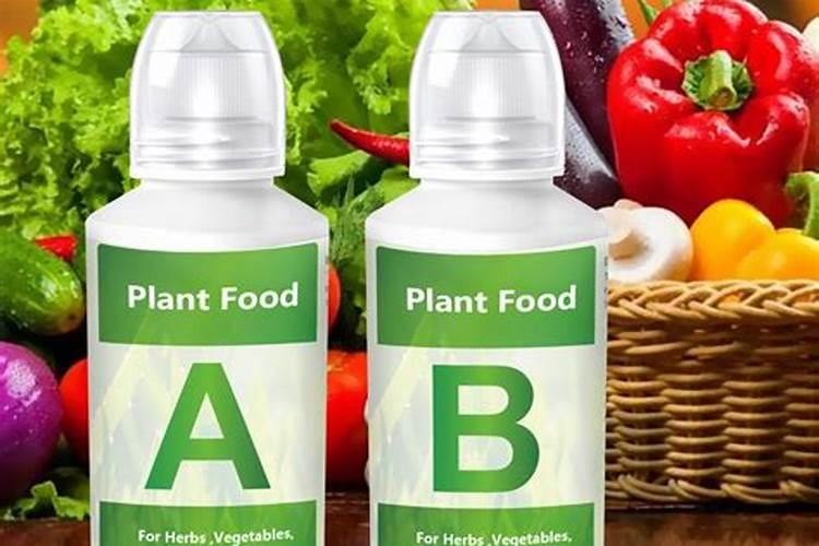 水培绿萝用什么肥料长得快