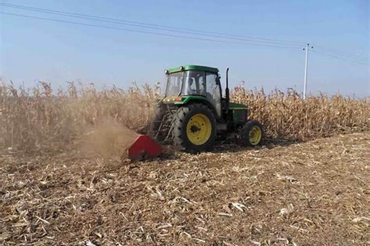 玉米秸秆还田地播种小麦还用上钾肥吗
