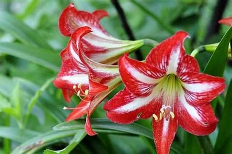 农资批发农药购买平台有哪些？