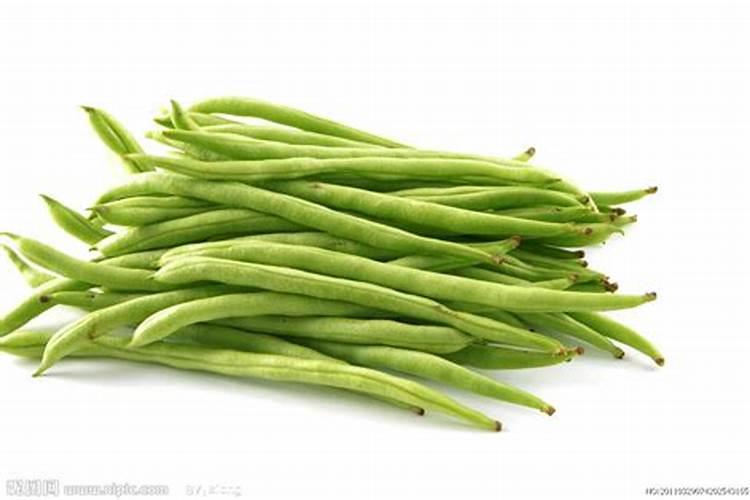 四季豆发芽多久后施肥