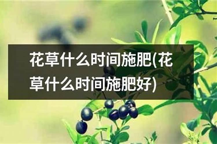 什么时候施肥最好 什么时候给花施肥最好
